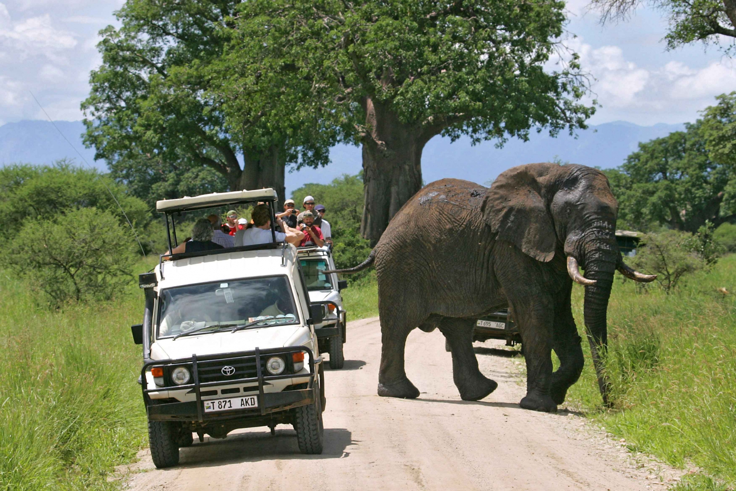 2 days 1 night TARANGIRE PARK + NGORONGORO PARK CRATER (8)