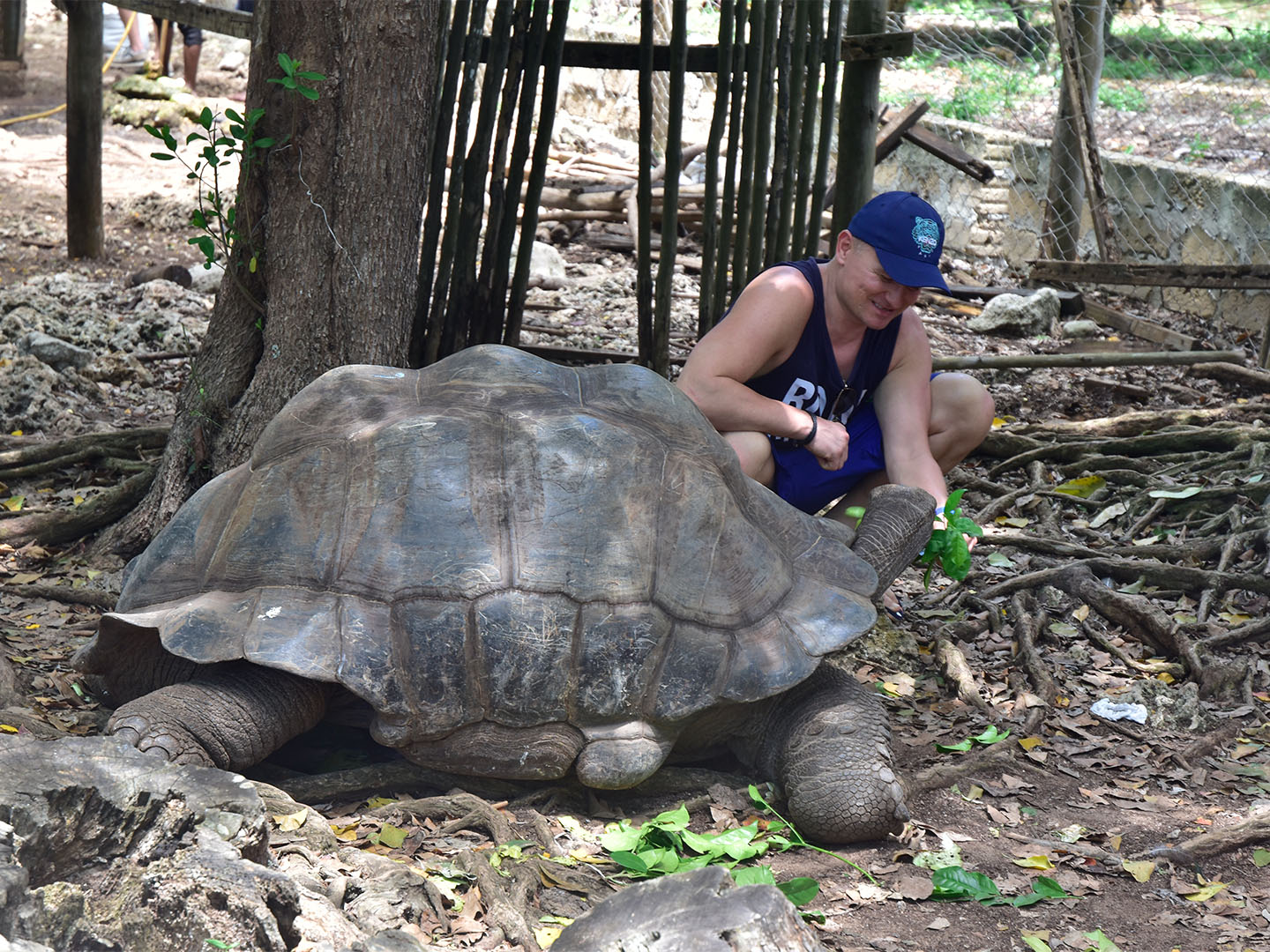 Prison Island & Nakupenda Sandbank (1)