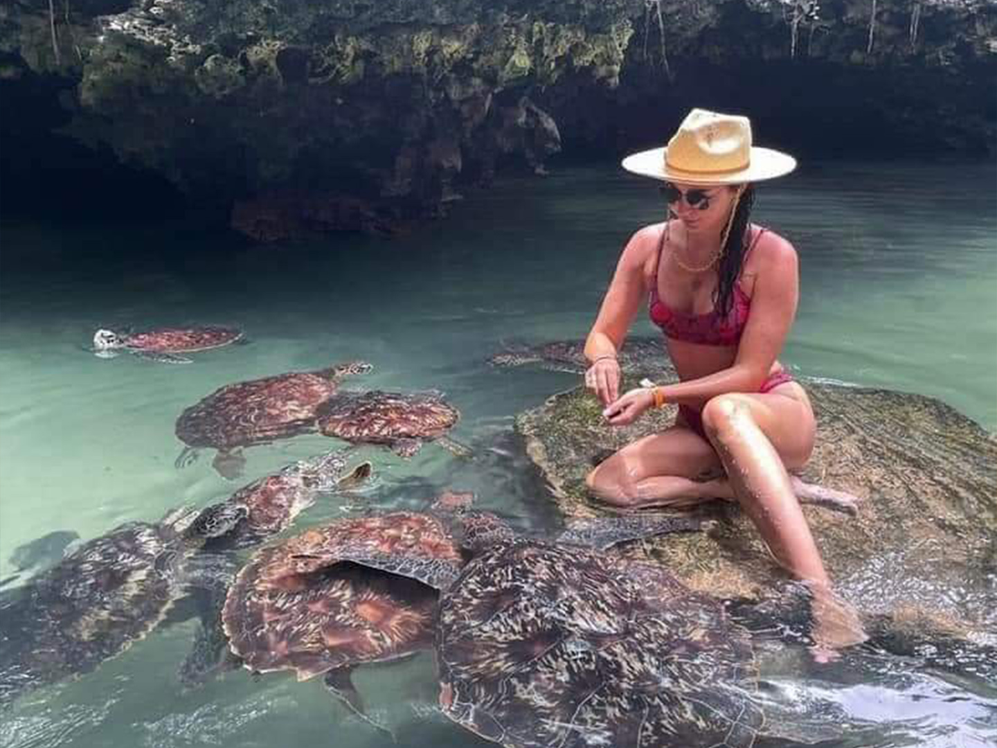 Swimming With Turtles & Sunset Dhow Cruise (4)