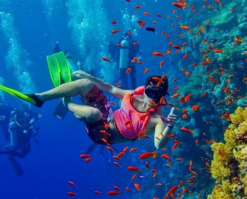 Zanzibar snorkeling