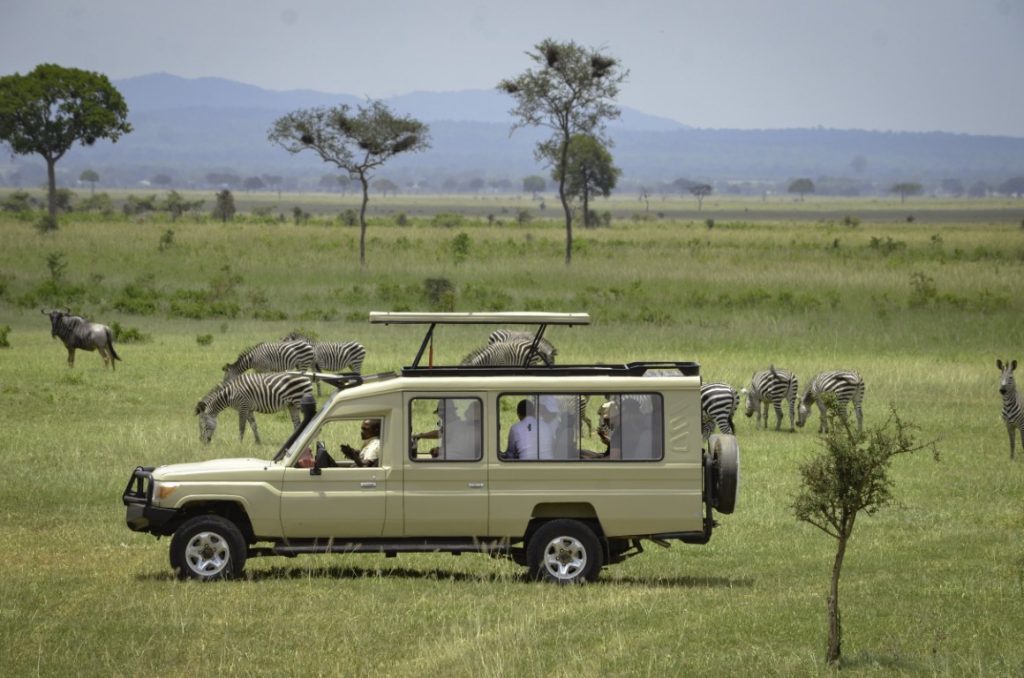 Mikumi or Selous Safari Add-On