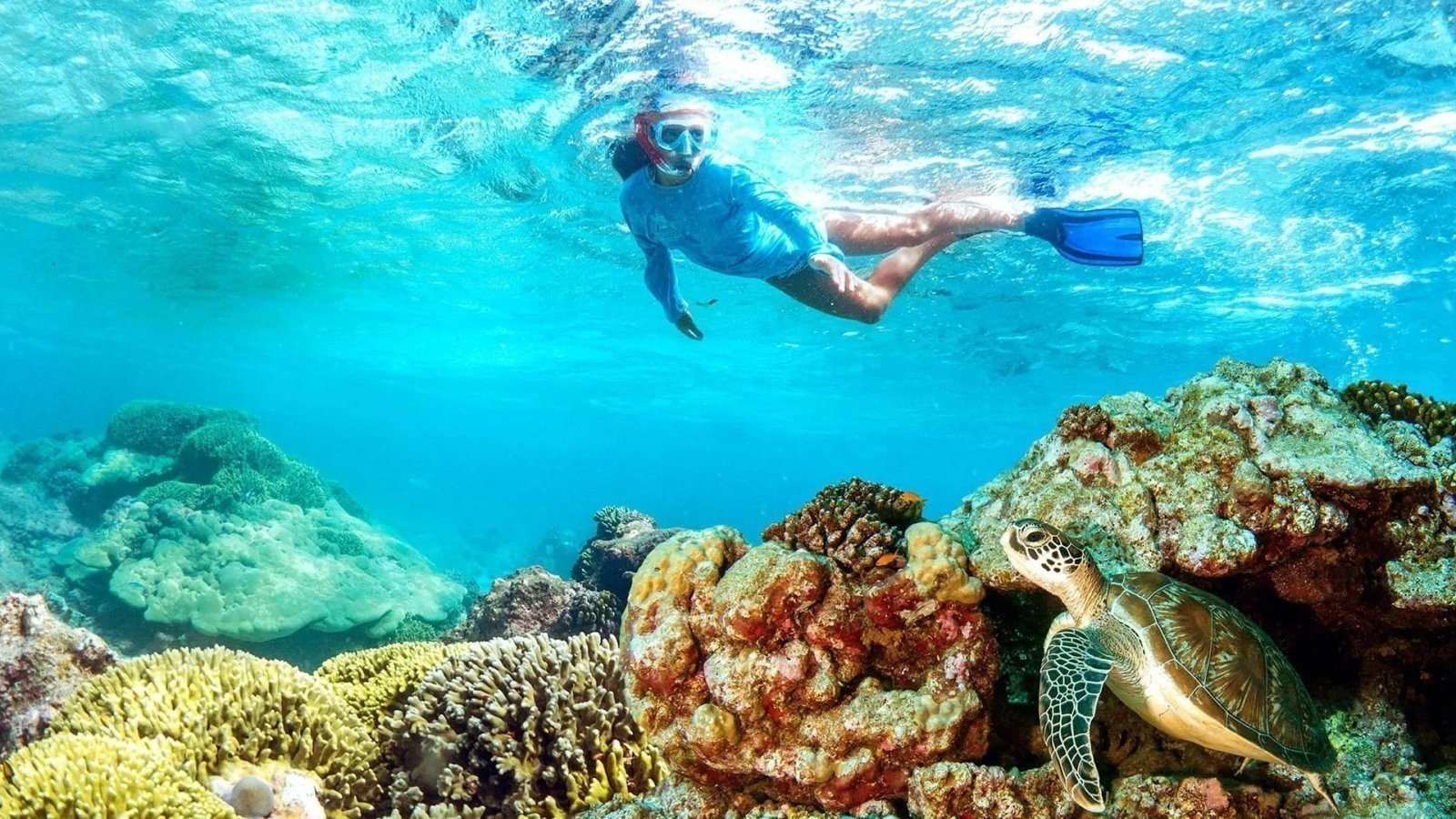 Mnemba Island’s Secret Snorkeling Spots