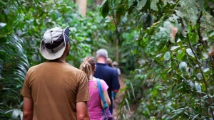 jozani forest tour zanzibar