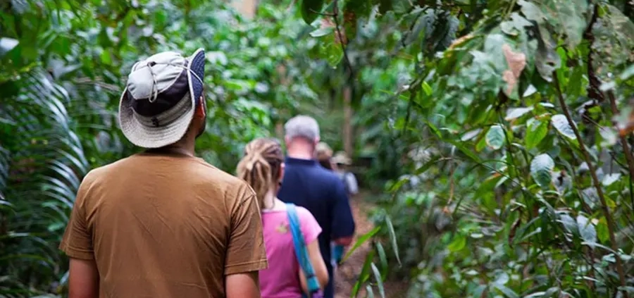 jozani forest tour zanzibar