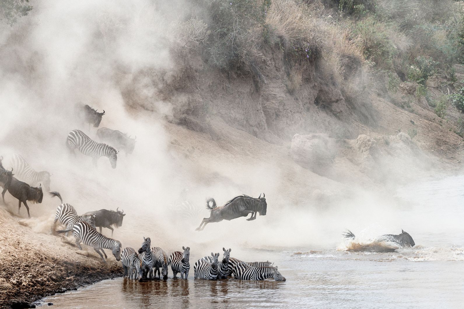 great wildebeest migration