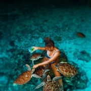 swimming with turtle