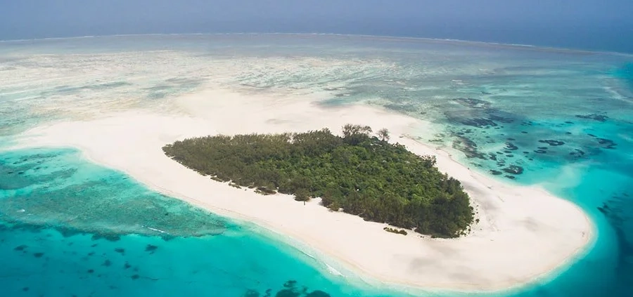 Mnemba Island snorkeling tour zanzibar