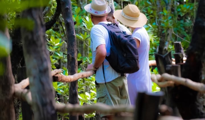 Jozani forest walking trail Zanzibar