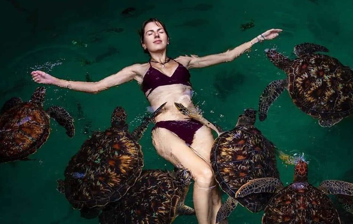 Zanzibar turtle aquarium experience