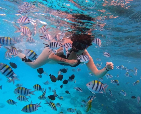 Mnemba Island snorkeling tour Zanzibar