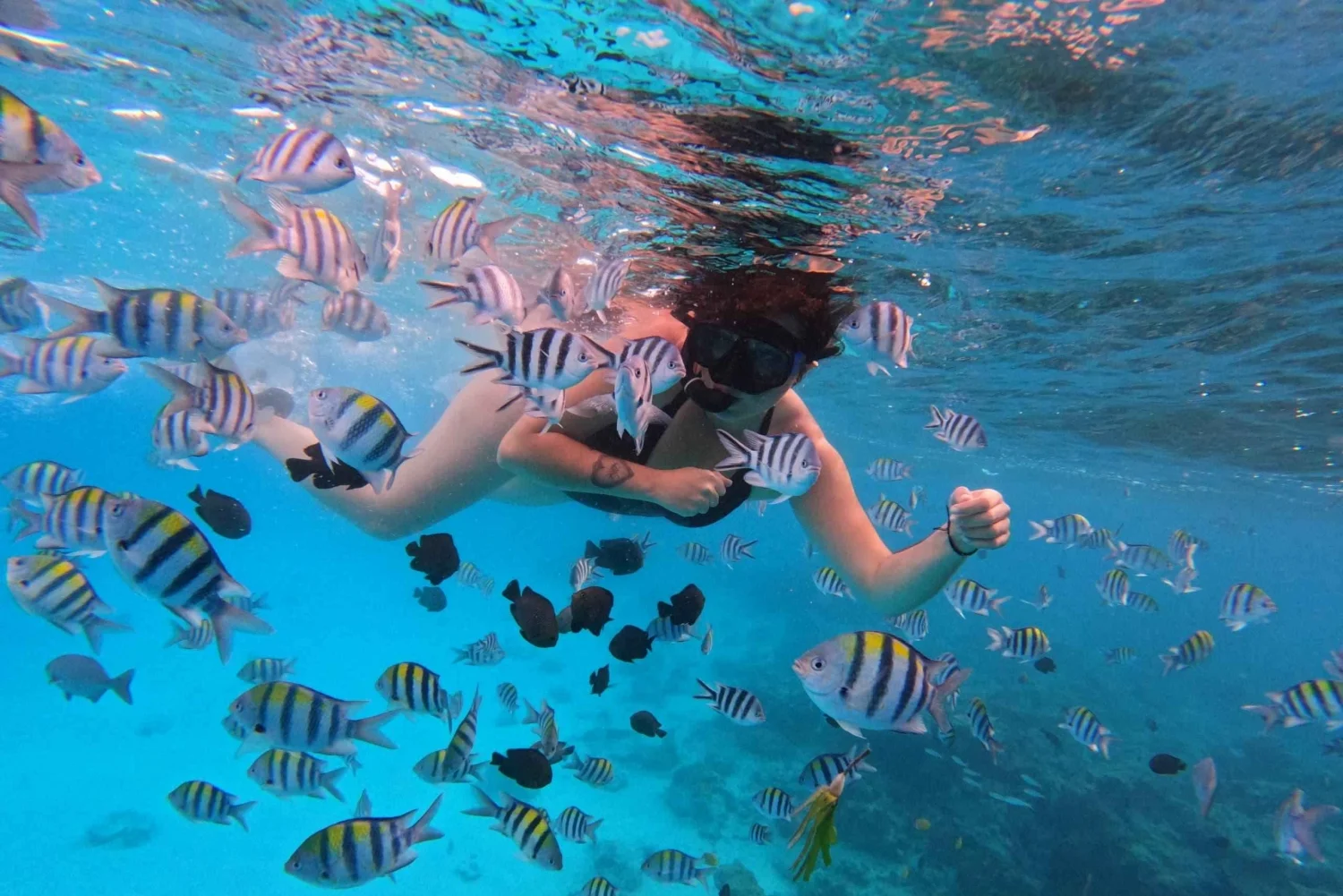 Mnemba Island snorkeling tour Zanzibar