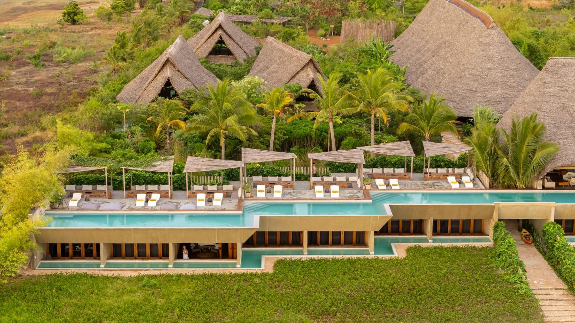 Blooming Zanzibar
