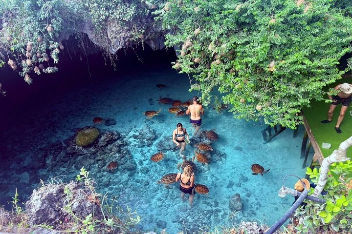 garden cave kizimkazi