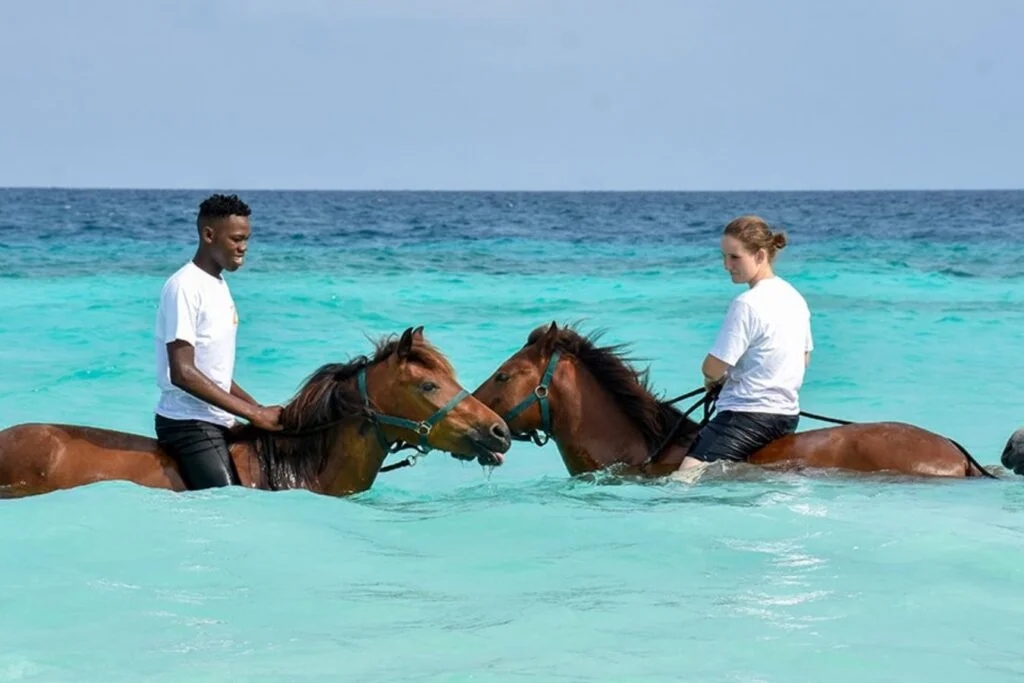 horse riding in zanzibar