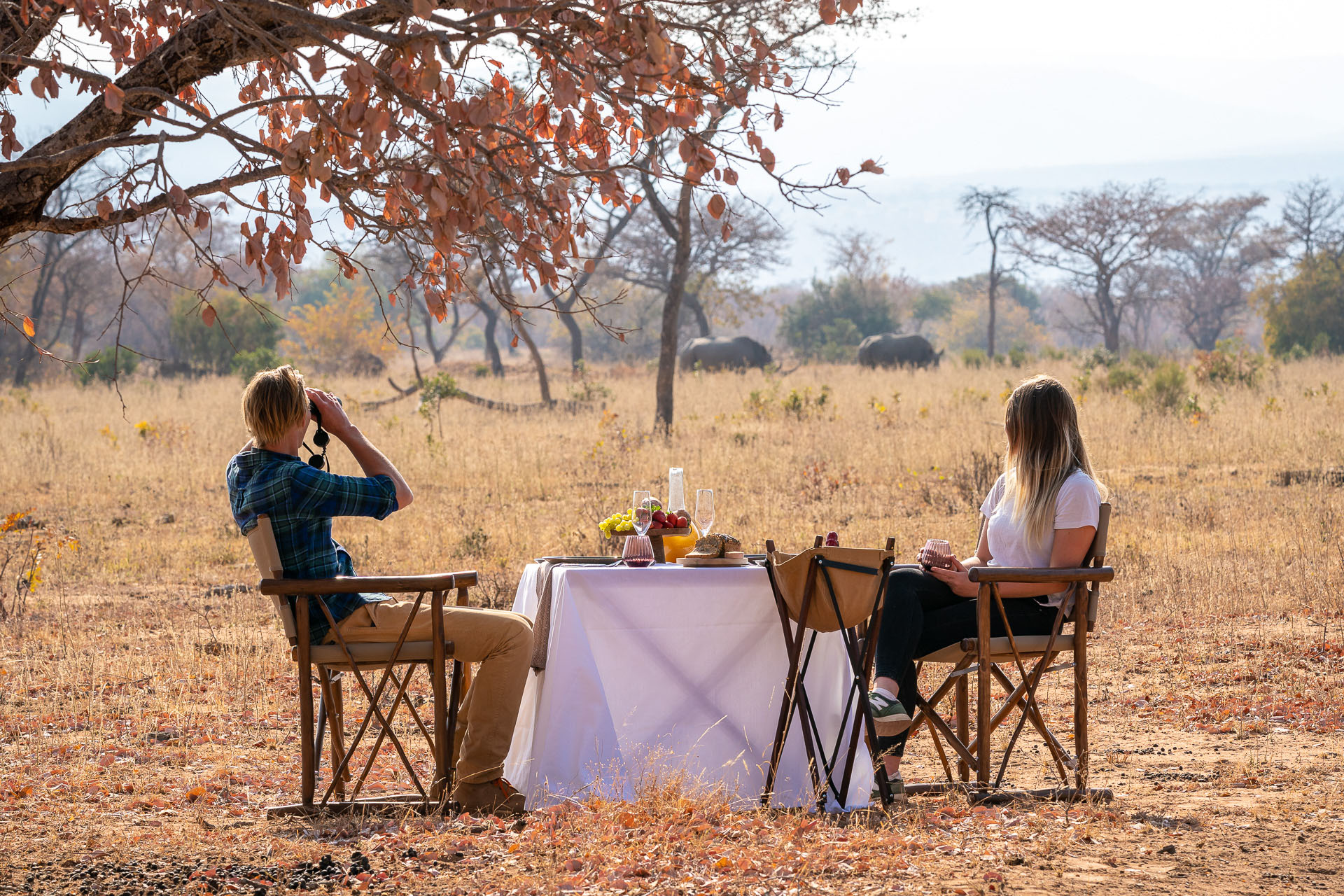 Leone durante un safari in Tanzania