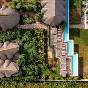 Blooming Zanzibar