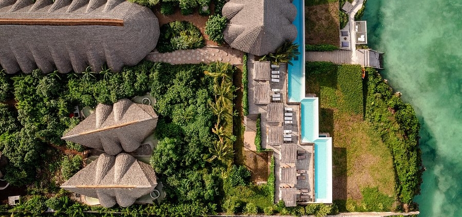 Blooming Zanzibar
