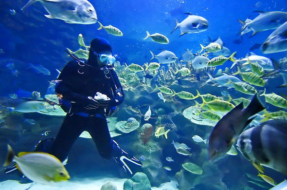 Karafuu Beach Resort activities