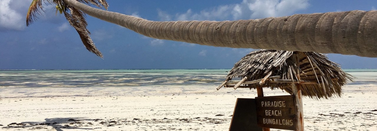 paradise beach bungalows