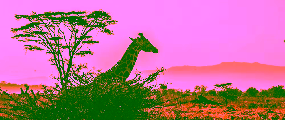 Safari nel Serengeti in Tanzania