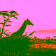 Safari nel Serengeti in Tanzania