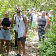 jozani forest