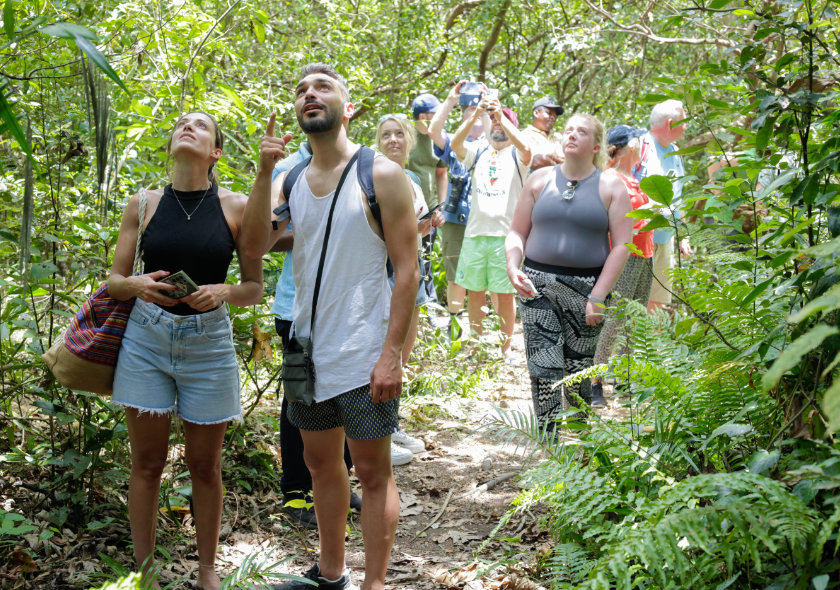 jozani forest