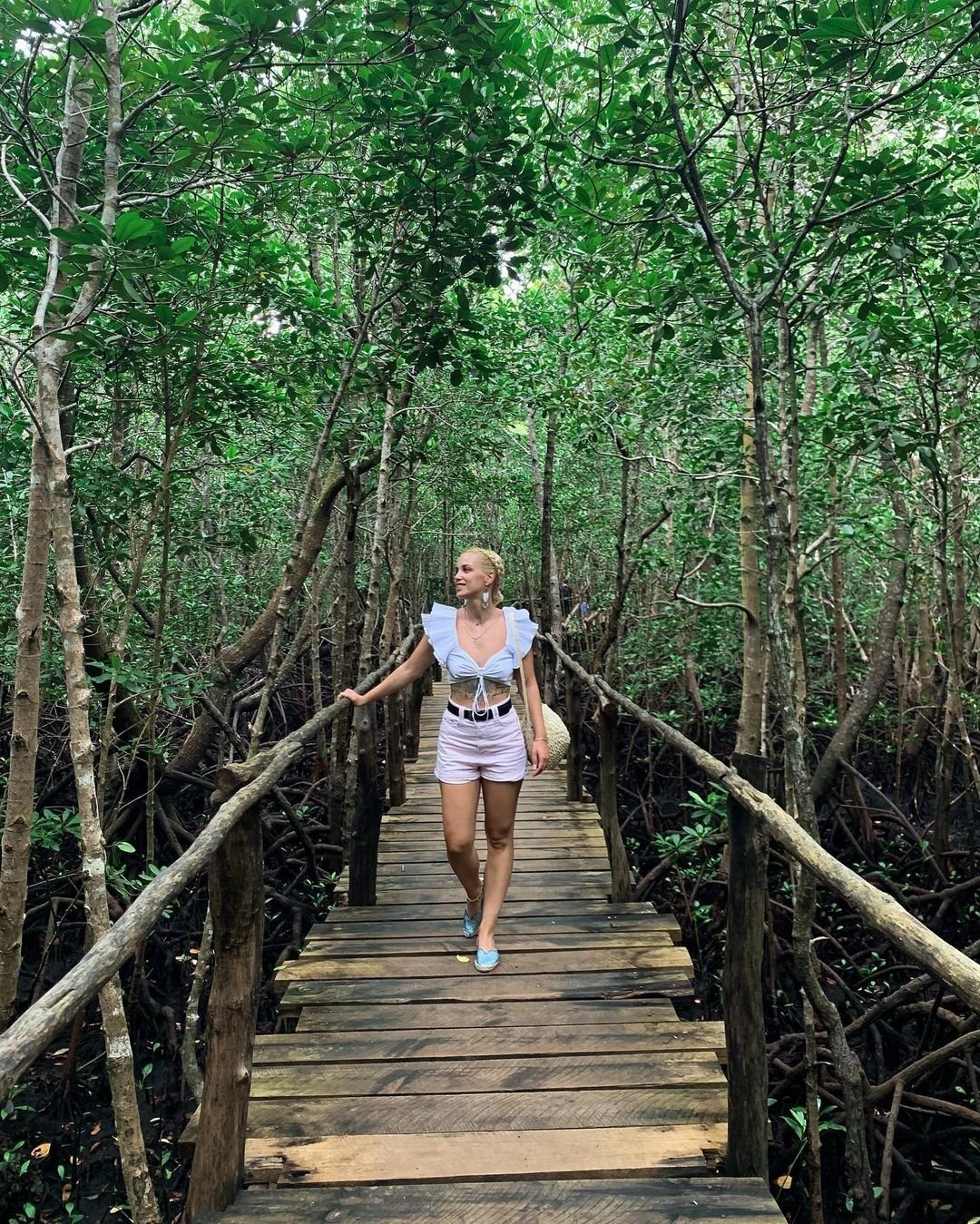 Jozani Forest mangrove boardwalk in Zanzibar Tanzania